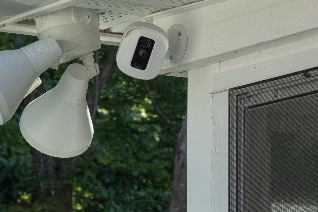 Cameras Deterring Burglary: Effective Security Insight