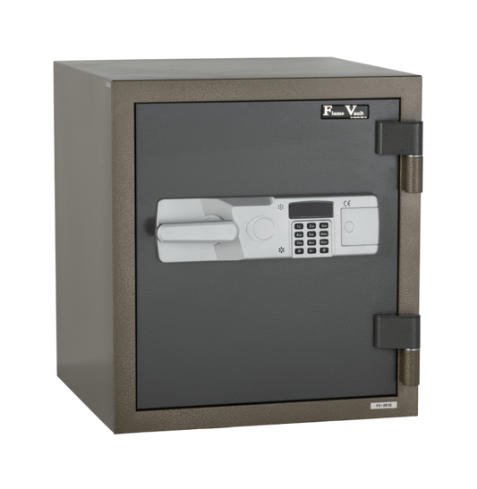 FlameVault FV 261 E Fire Safe