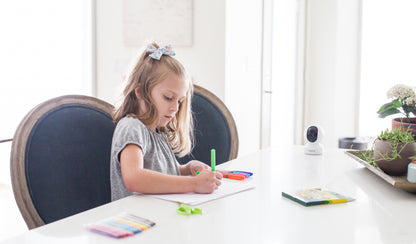 3MP PT Indoor Wi-Fi Security Camera