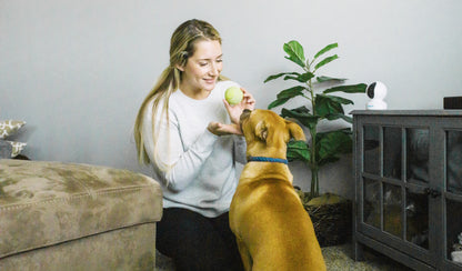 4K 8MP Dual-Band Wi-Fi 6 PTZ Indoor Camera with Auto Tracking