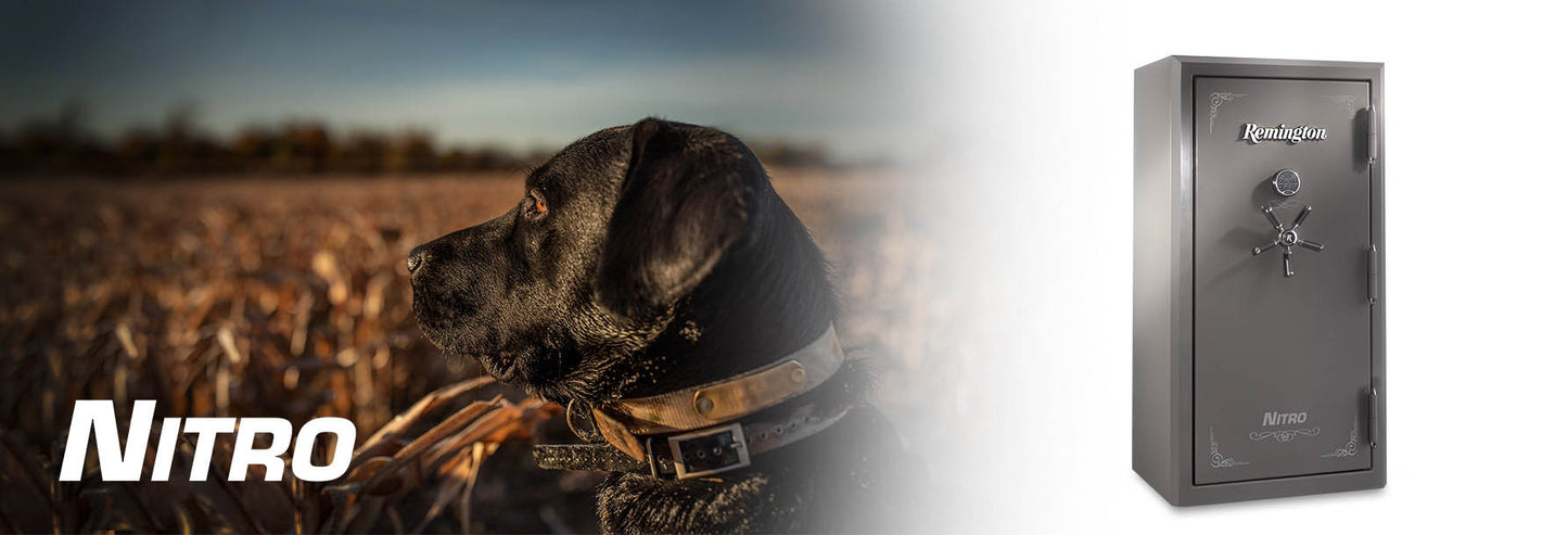 Remington Nitro SAR6536N 36-Gun 90-Min Fire & Water Safe