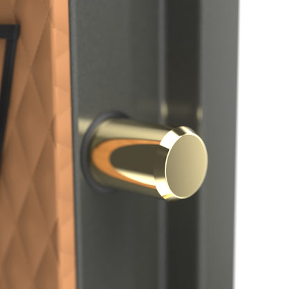 Remington STS SAR6550S 50-Gun 120-Min Fire & Water Safe