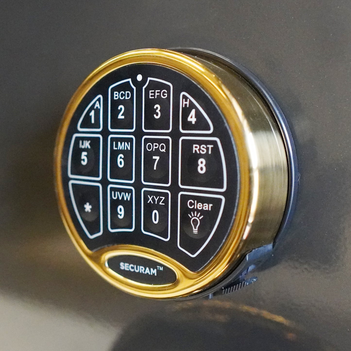 Remington STS SAR6550S 50-Gun 120-Min Fire & Water Safe