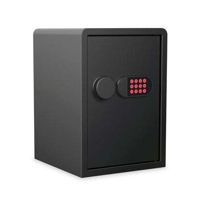 Sanctuary Home & Office SA-PV3L Security Vault