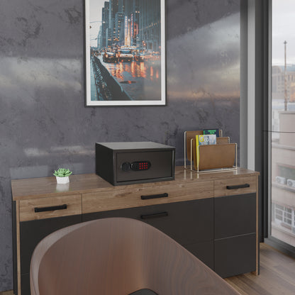 Sanctuary Home & Office SA-PVLP-03 Security Vault