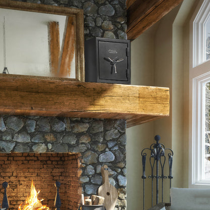 Sanctuary Platinum SA-PLAT2-BIO 120-Min Biometric Safe