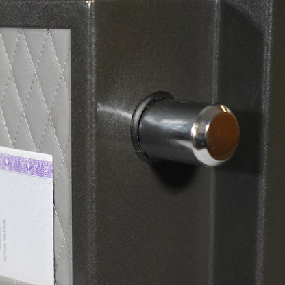 Sanctuary Platinum SA-PLAT4 120-Min Fire & Water Safe